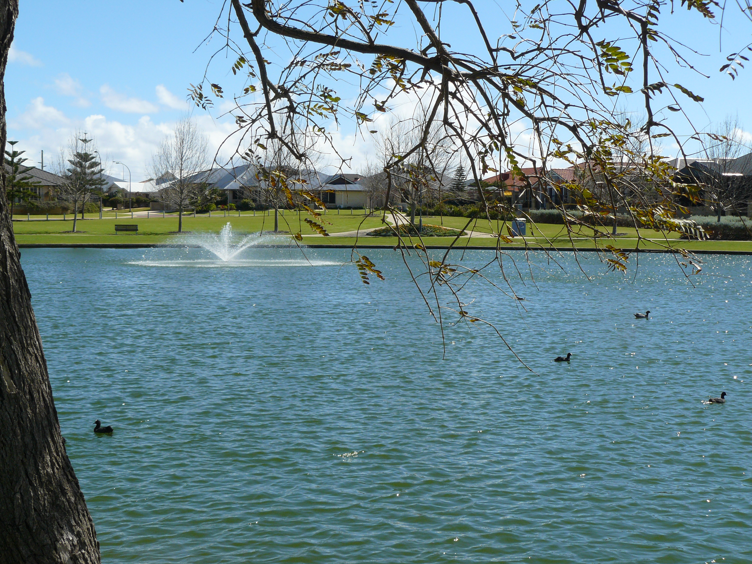 Perth’s leading landscape and gardening maintenance service